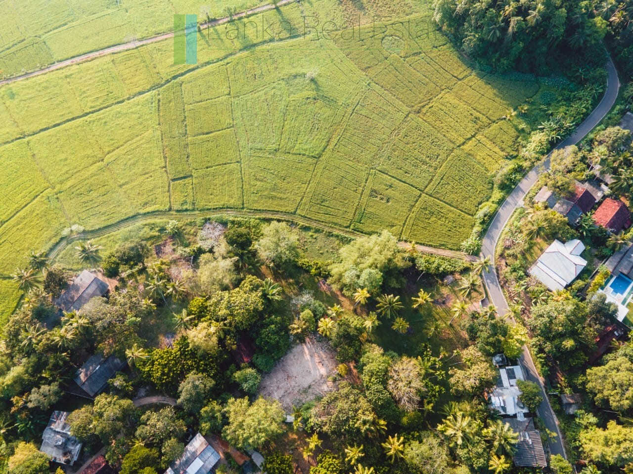 Peaceful paddy view plot near Talpe (Plot 2 of 3)