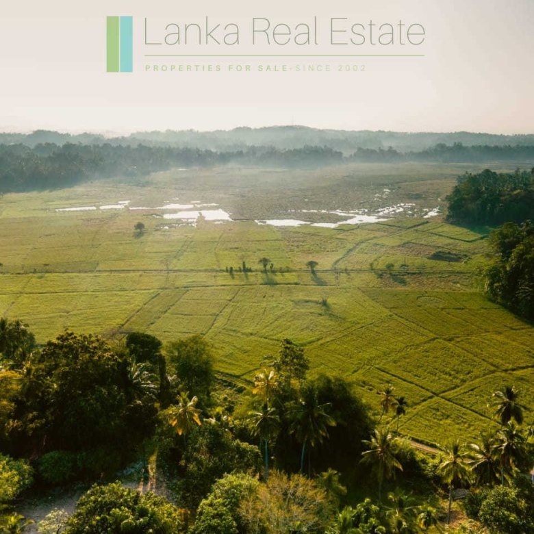 Peaceful paddy view plot near Talpe (Plot 1 of 3)