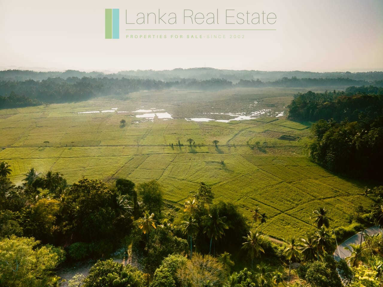 Peaceful paddy view plot near Talpe (Plot 1 of 3)
