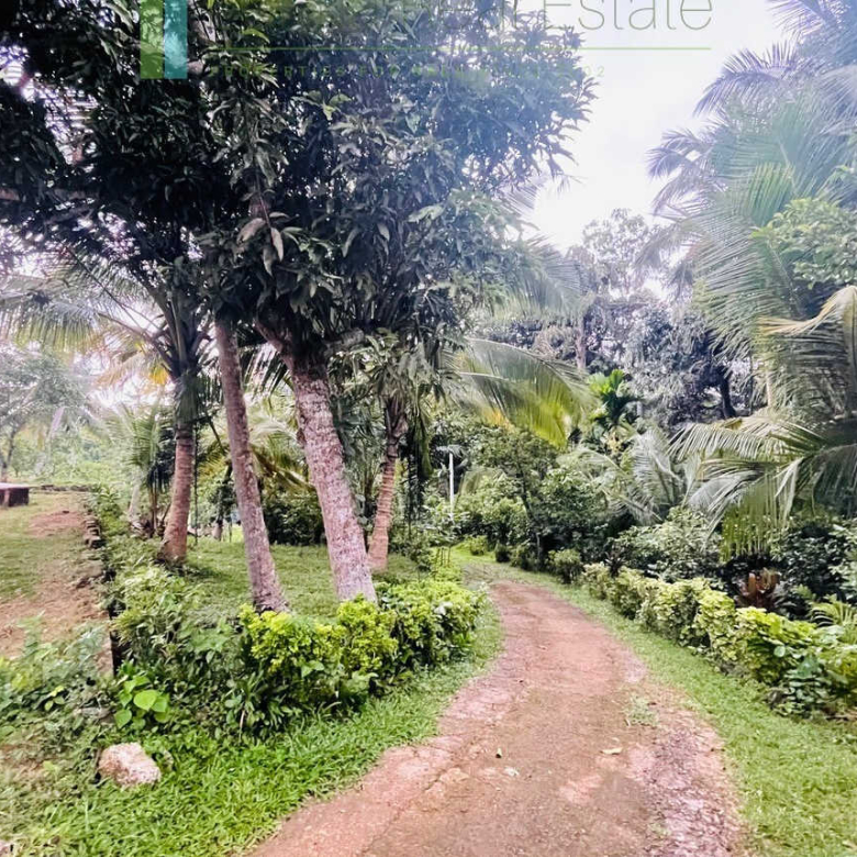Four bedrooms with potential to extend at Koggala