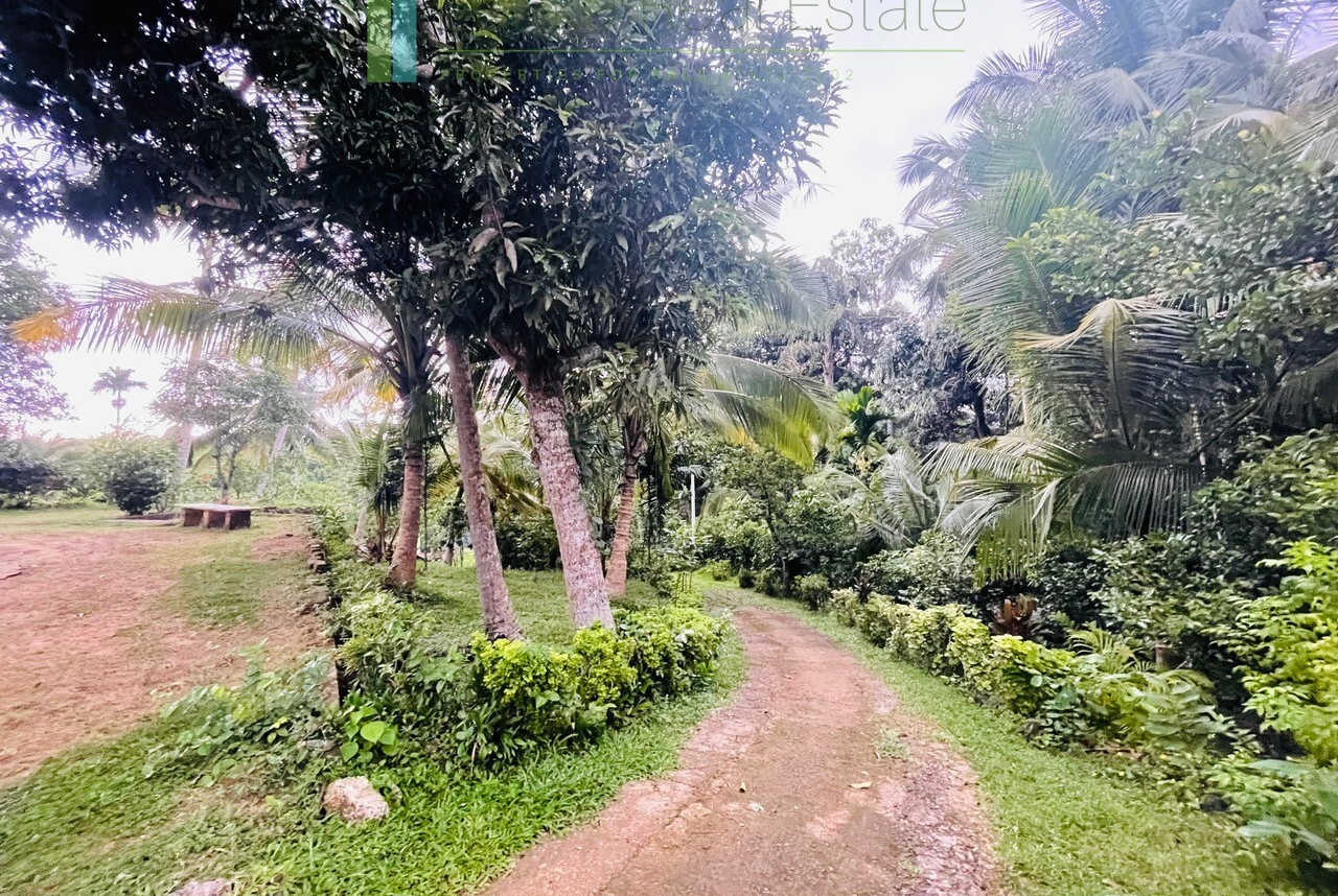 Four bedrooms with potential to extend at Koggala