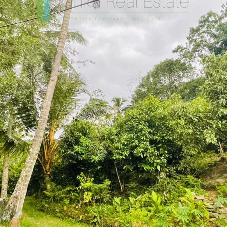 Four bedrooms with potential to extend at Koggala