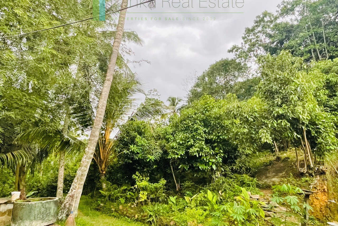 Four bedrooms with potential to extend at Koggala