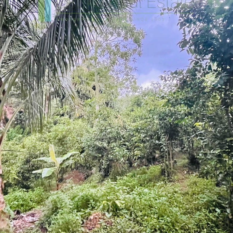 Four bedrooms with potential to extend at Koggala
