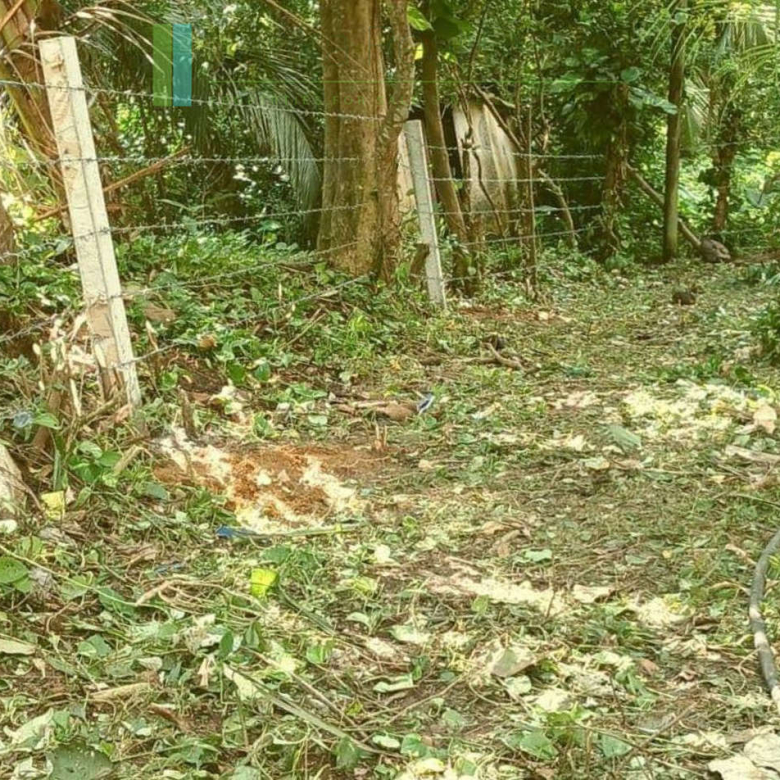 Development plot near Ahangama