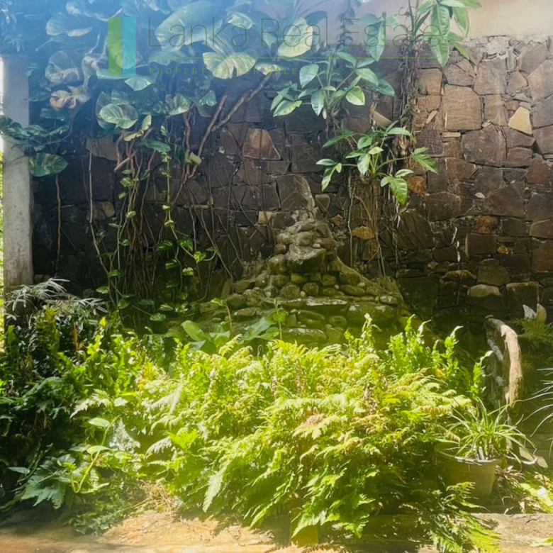 Peaceful paddy view house in Ginigala