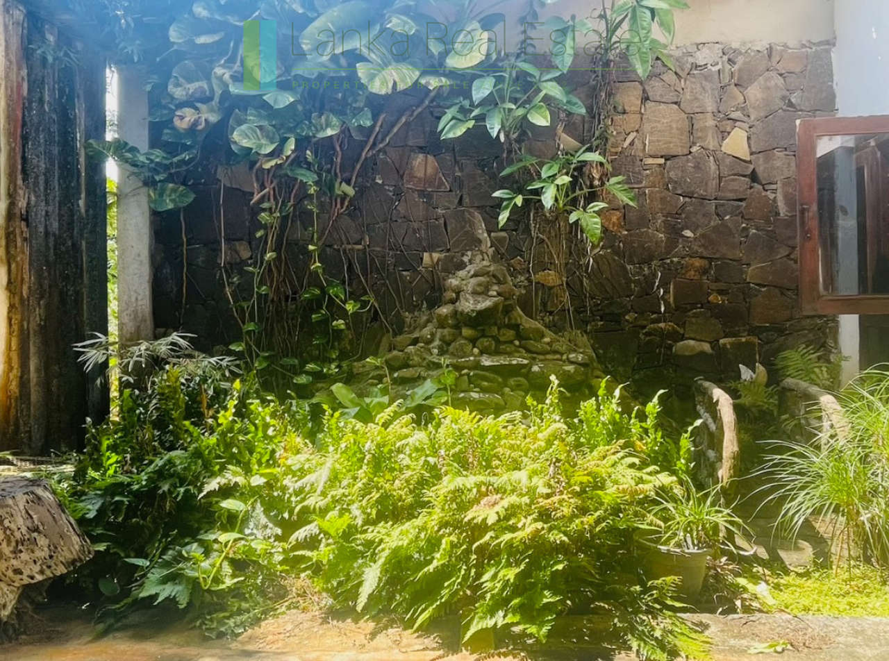 Peaceful paddy view house in Ginigala
