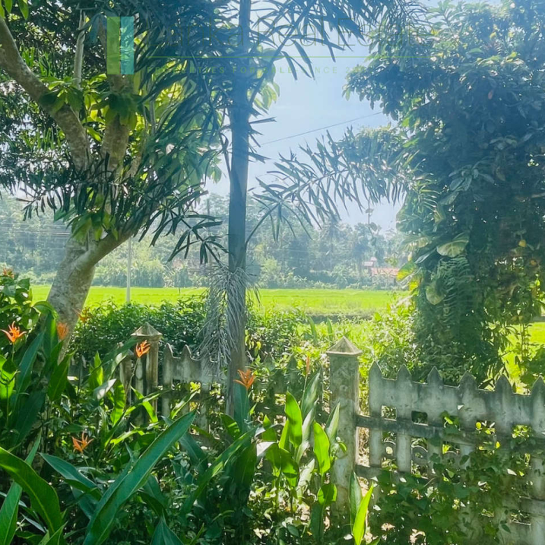 Peaceful paddy view house in Ginigala