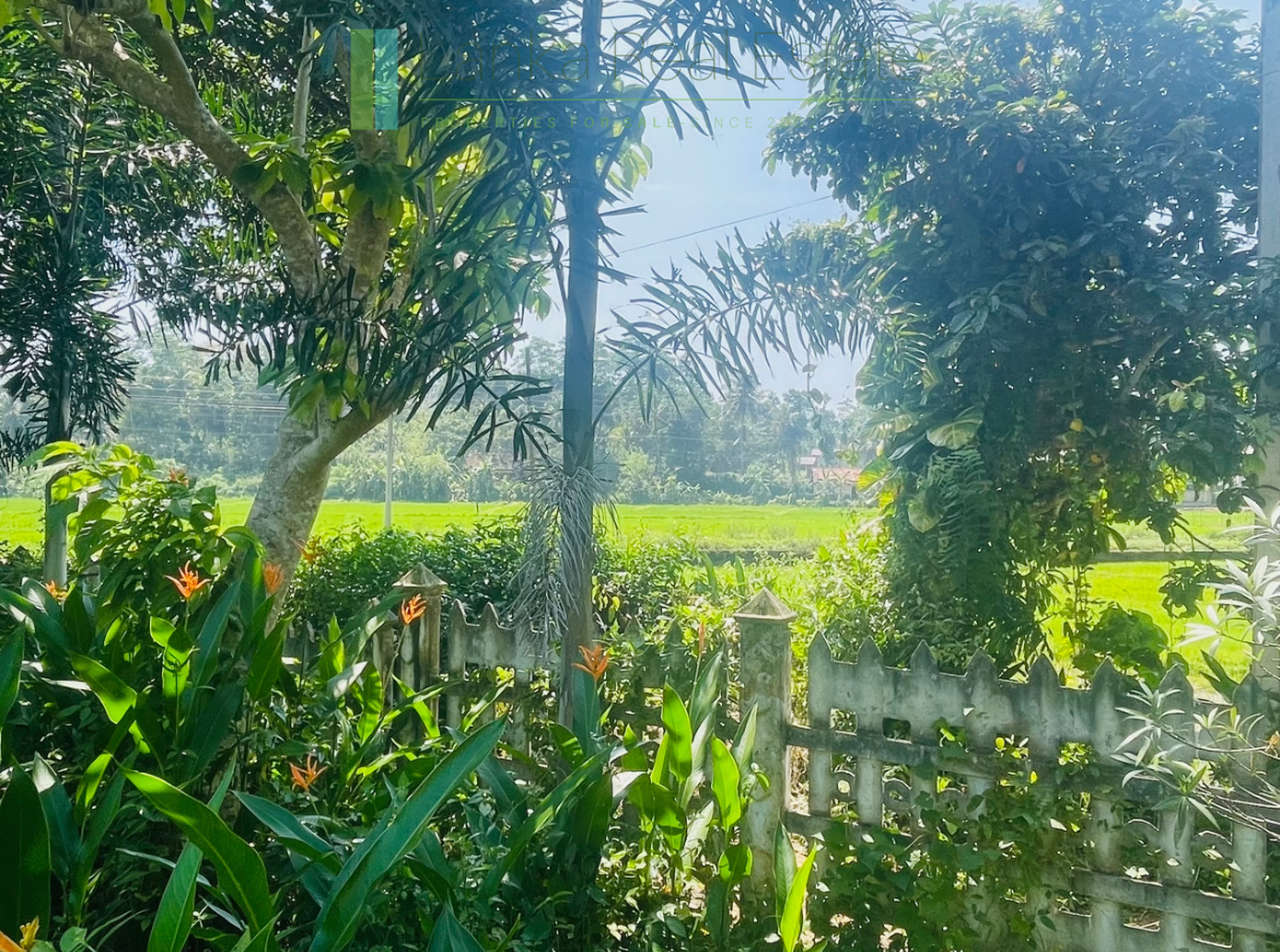Peaceful paddy view house in Ginigala