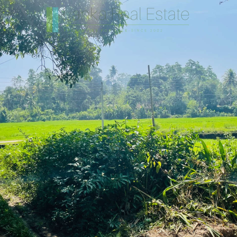 Peaceful paddy view house in Ginigala