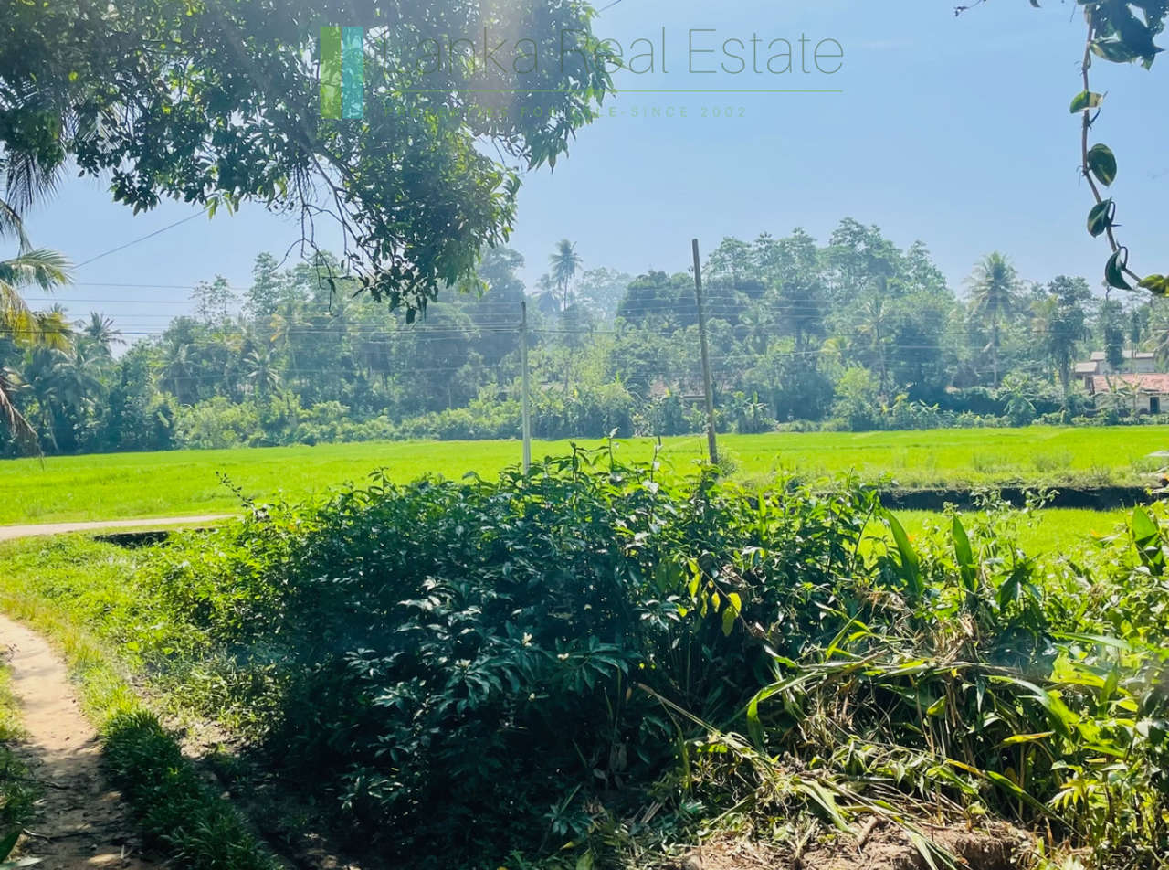 Peaceful paddy view house in Ginigala