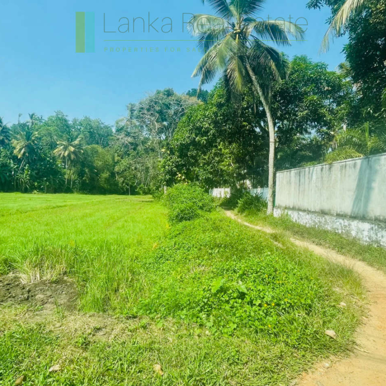 Peaceful paddy view house in Ginigala