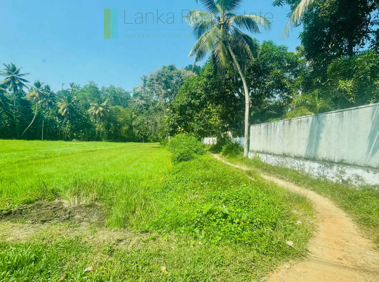 Peaceful paddy view house in Ginigala