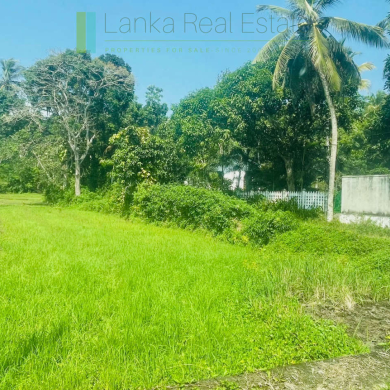 Peaceful paddy view house in Ginigala