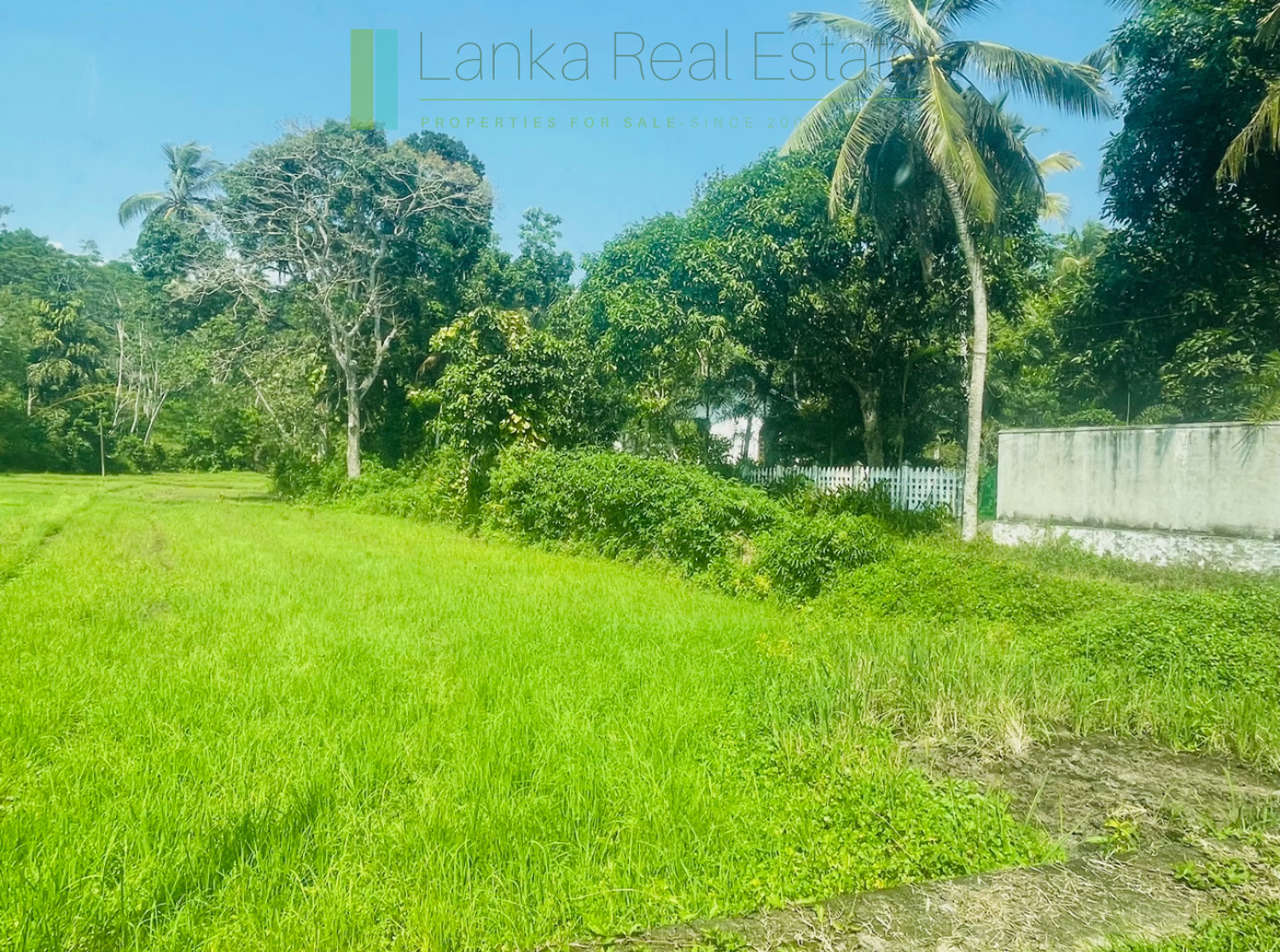 Peaceful paddy view house in Ginigala