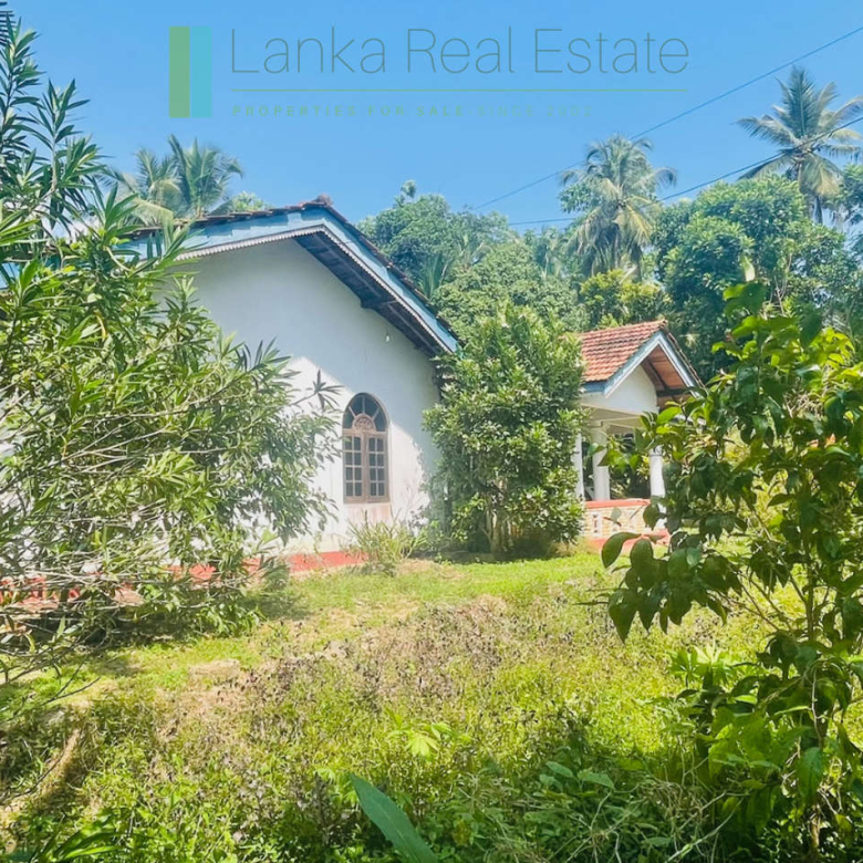Peaceful paddy view house in Ginigala