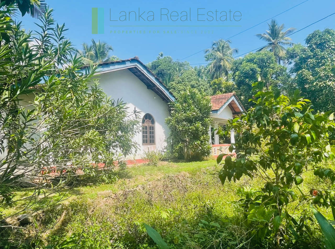 Peaceful paddy view house in Ginigala