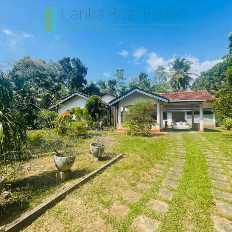 Peaceful paddy view house in Ginigala