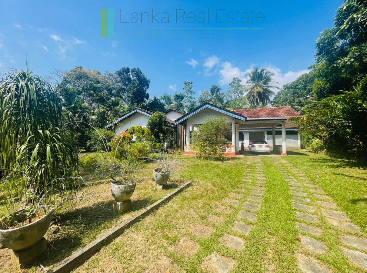 Peaceful paddy view house in Ginigala