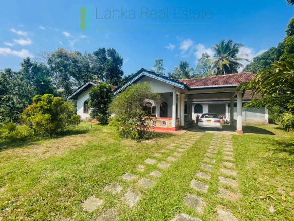 Peaceful paddy view house in Ginigala