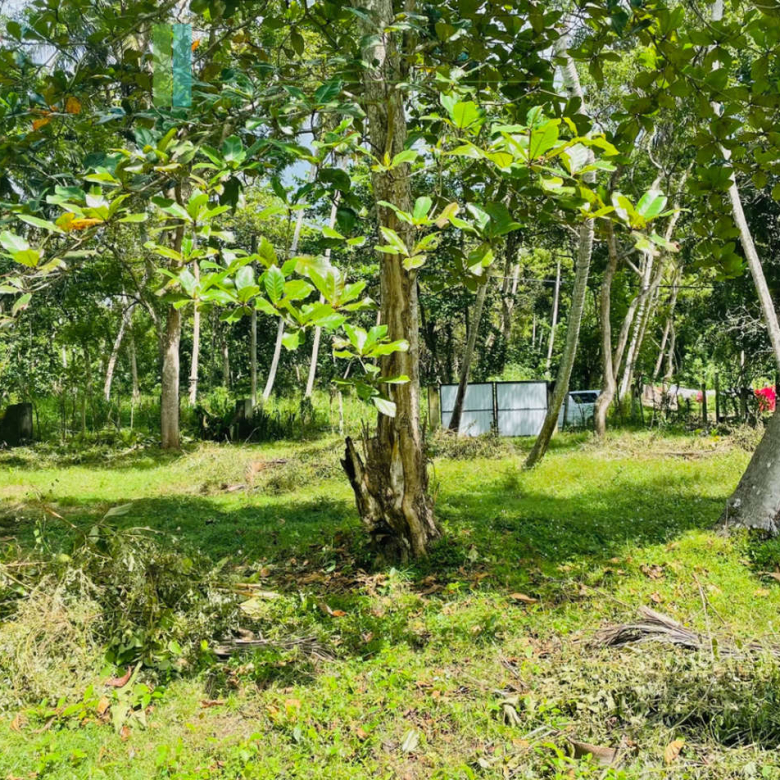 Attractive plot in walking distance of Mawella Beach