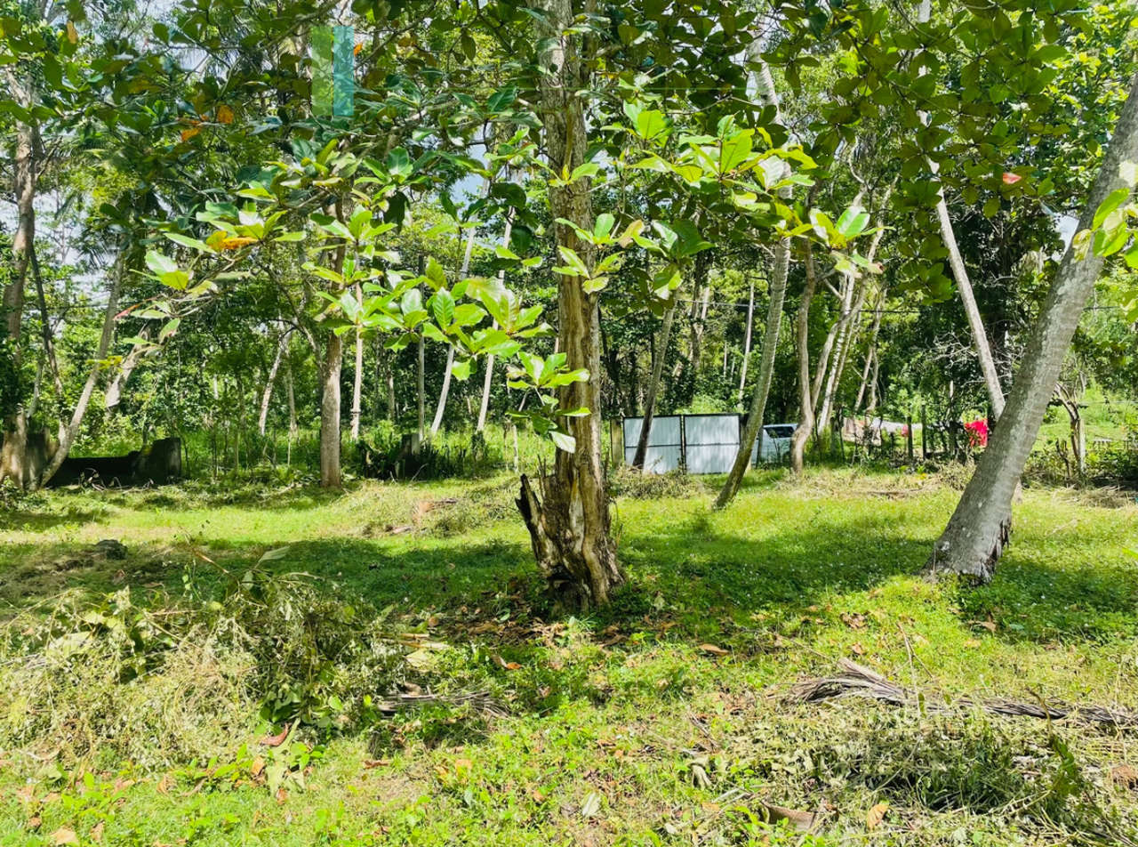 Attractive plot in walking distance of Mawella Beach