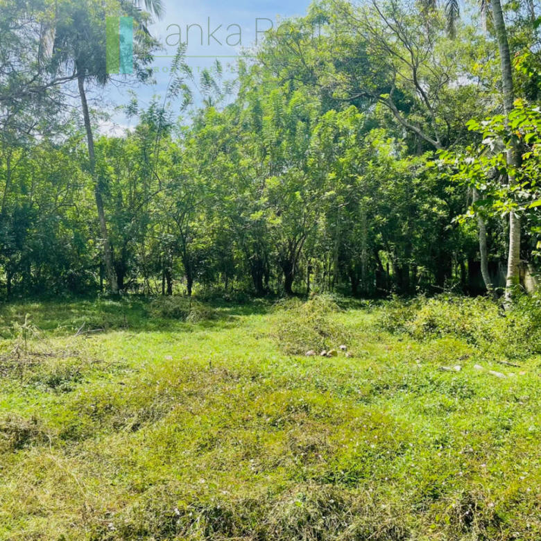 Attractive plot in walking distance of Mawella Beach