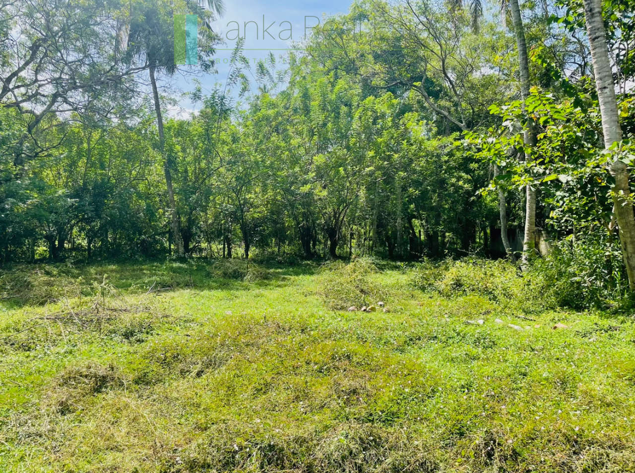 Attractive plot in walking distance of Mawella Beach