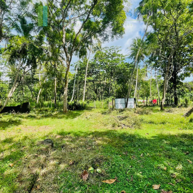 Attractive plot in walking distance of Mawella Beach