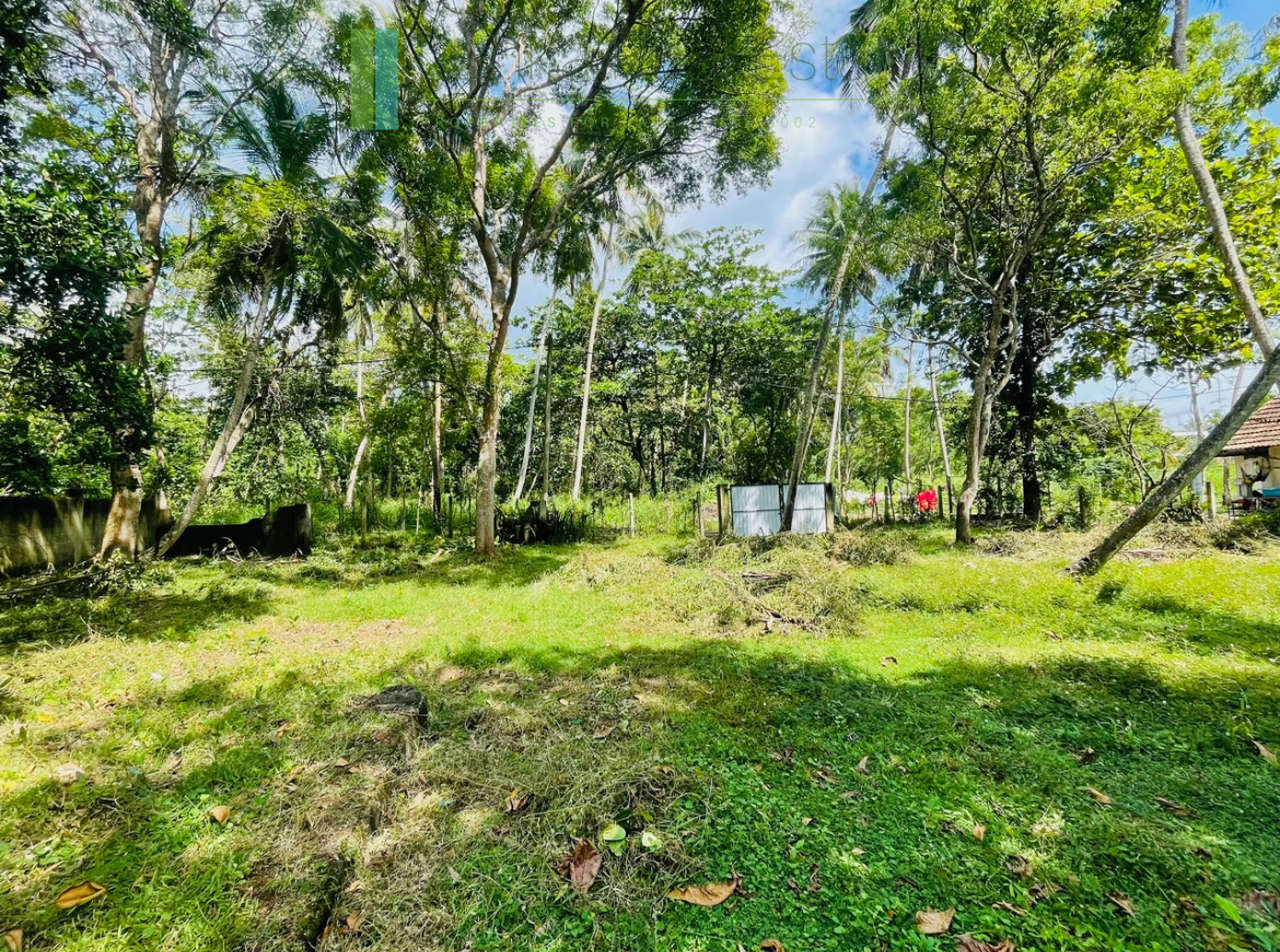 Attractive plot in walking distance of Mawella Beach