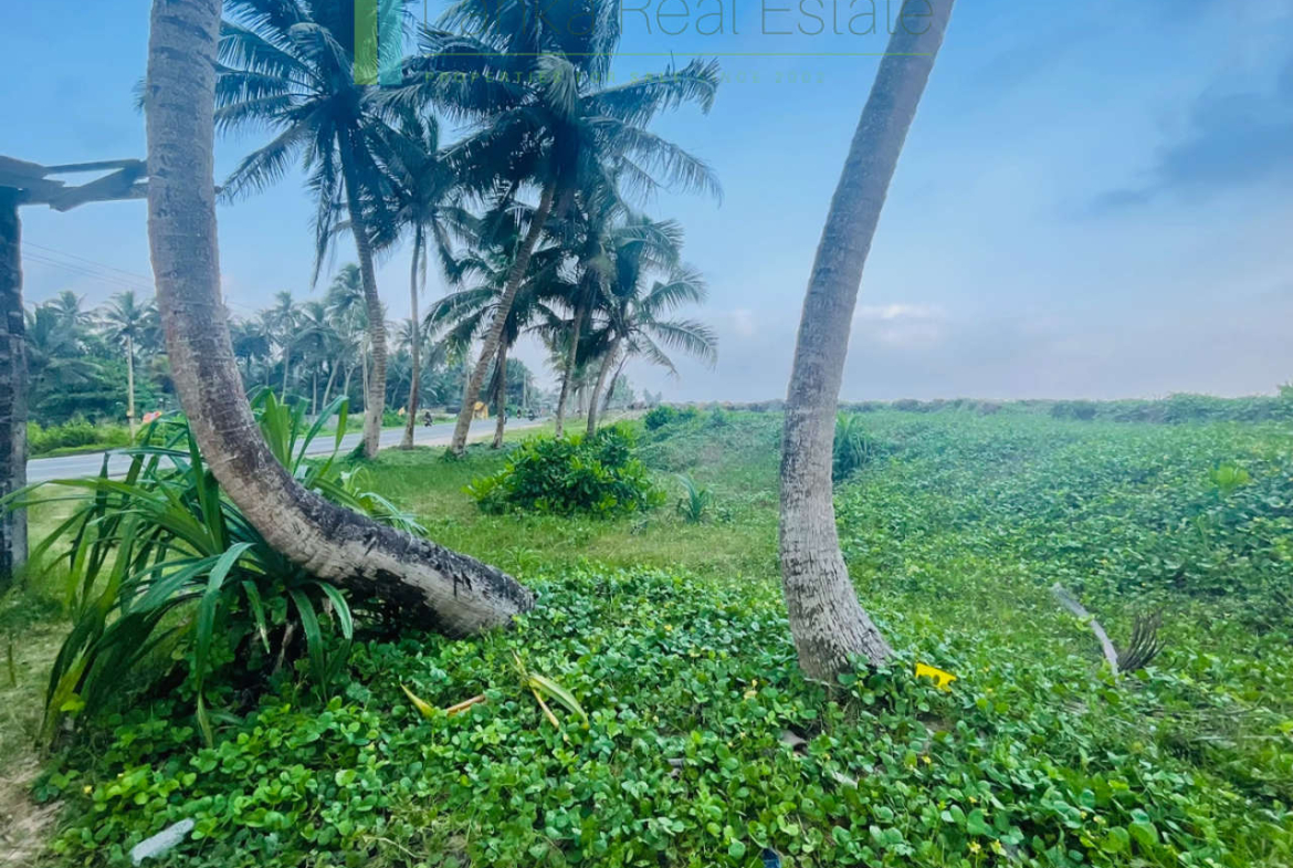 Beachfront plot in Akurala near Hikkaduwa