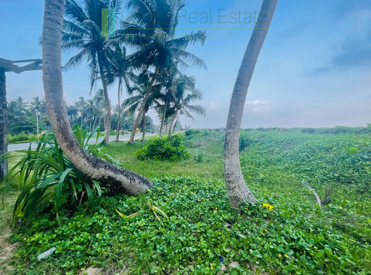 2024-0205-for-sale-beachfront-land-akurula-sri-lanka-real-estate-3_web Beachfront plot in Akurala near Hikkaduwa