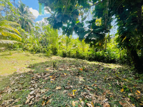 Attractive building plot in Midigama