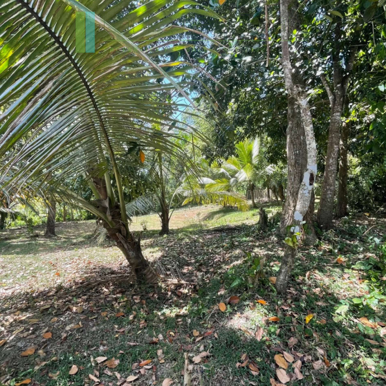 Attractive building plot in Midigama