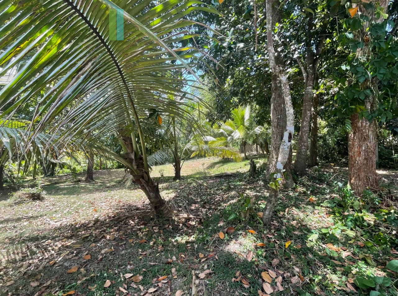 Attractive building plot in Midigama