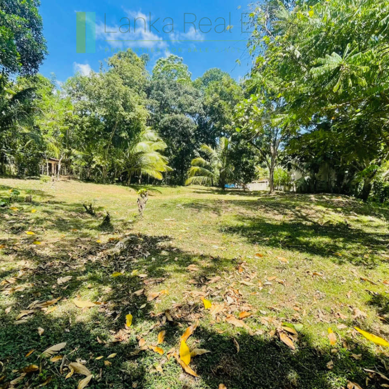 Attractive building plot in Midigama