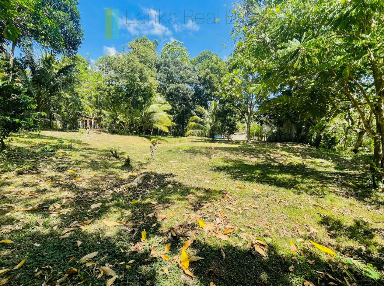 Attractive building plot in Midigama