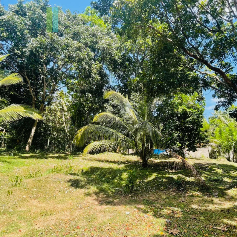 Attractive building plot in Midigama