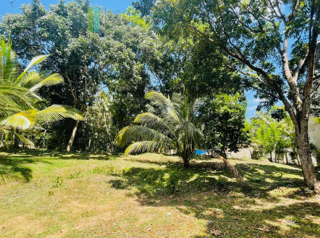 Attractive building plot in Midigama