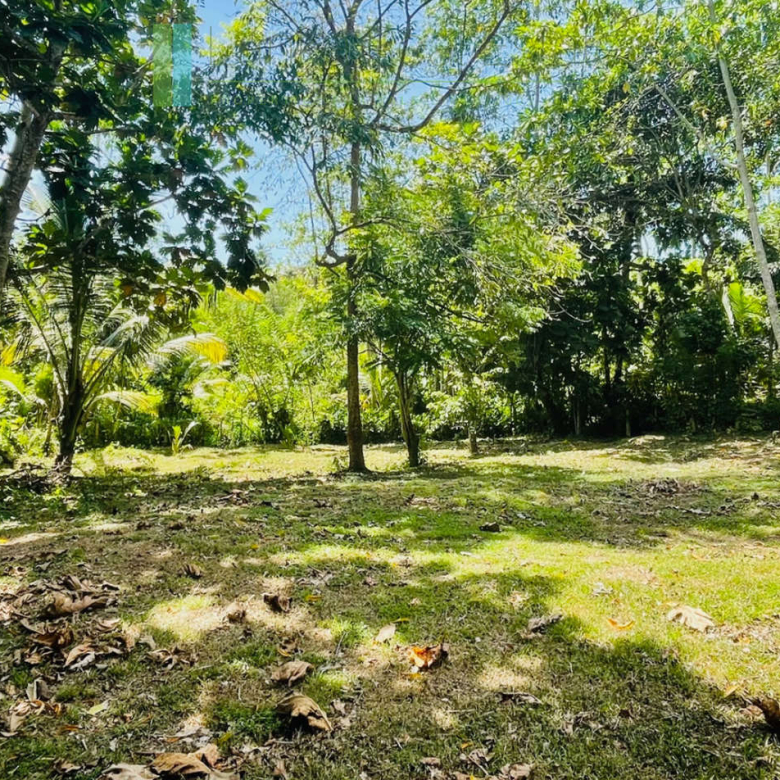 Attractive building plot in Midigama