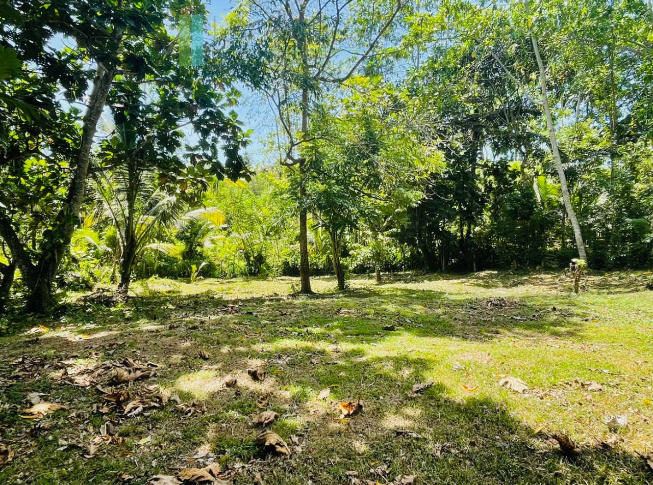 Attractive building plot in Midigama