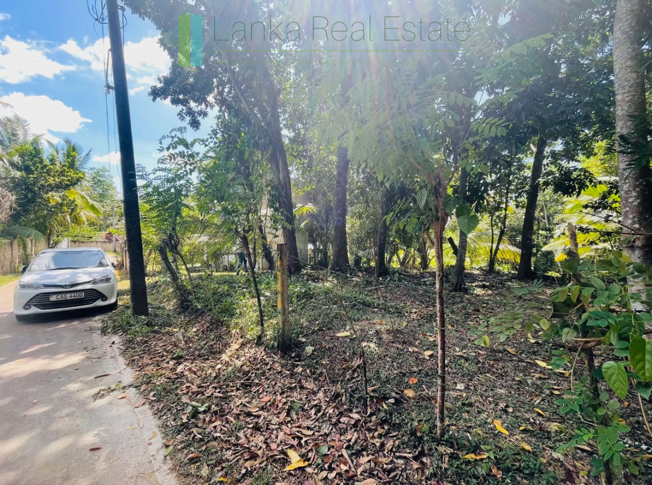 Attractive building plot in Midigama