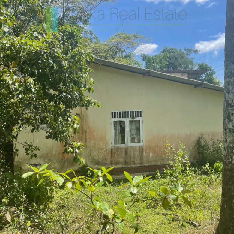 Large plot with old three houses in Dikkumbura