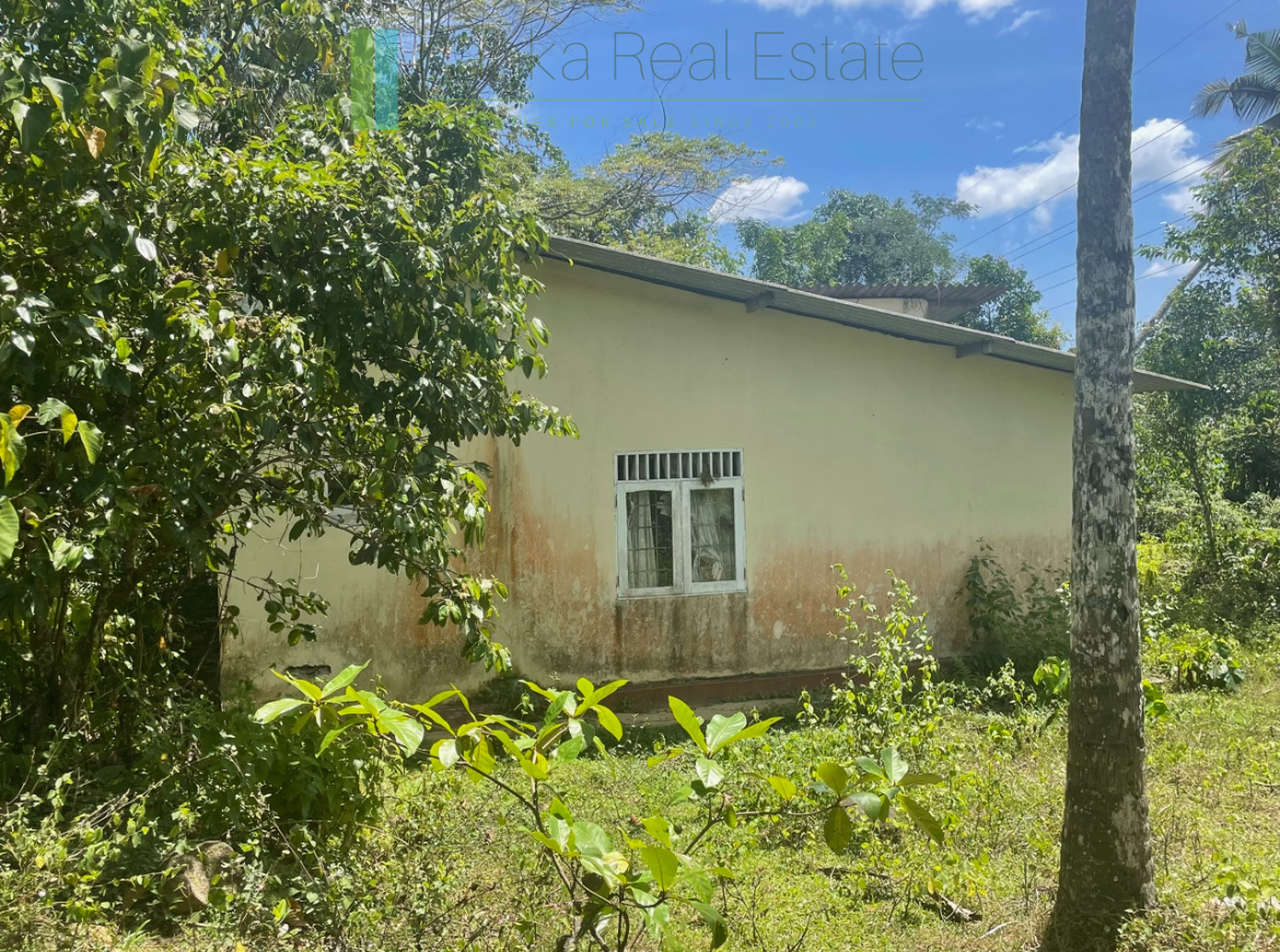 Large plot with old three houses in Dikkumbura