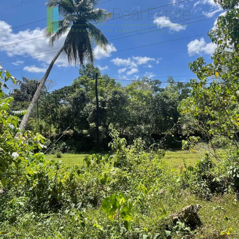 Large plot with old three houses in Dikkumbura