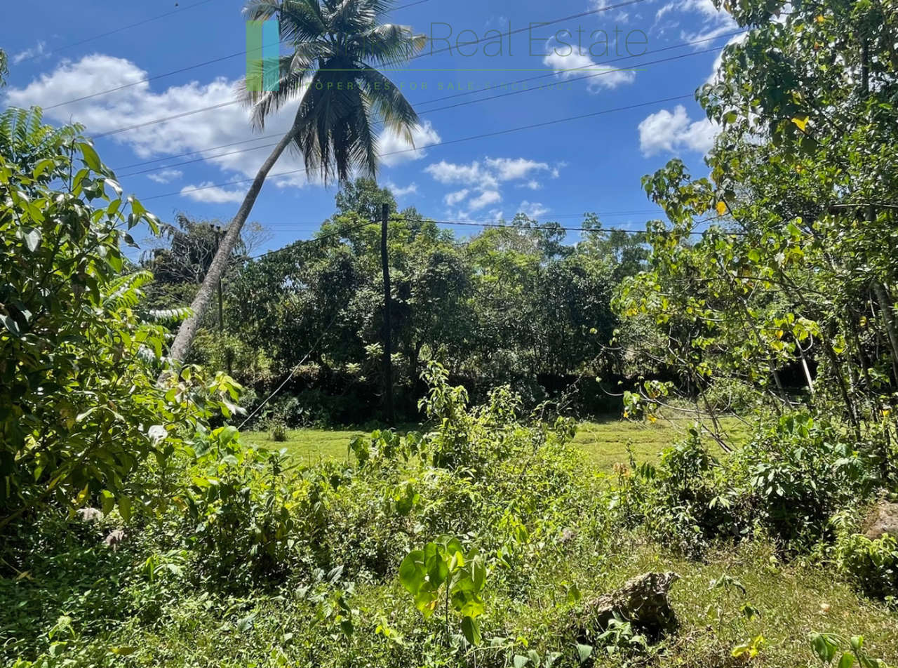 Large plot with old three houses in Dikkumbura
