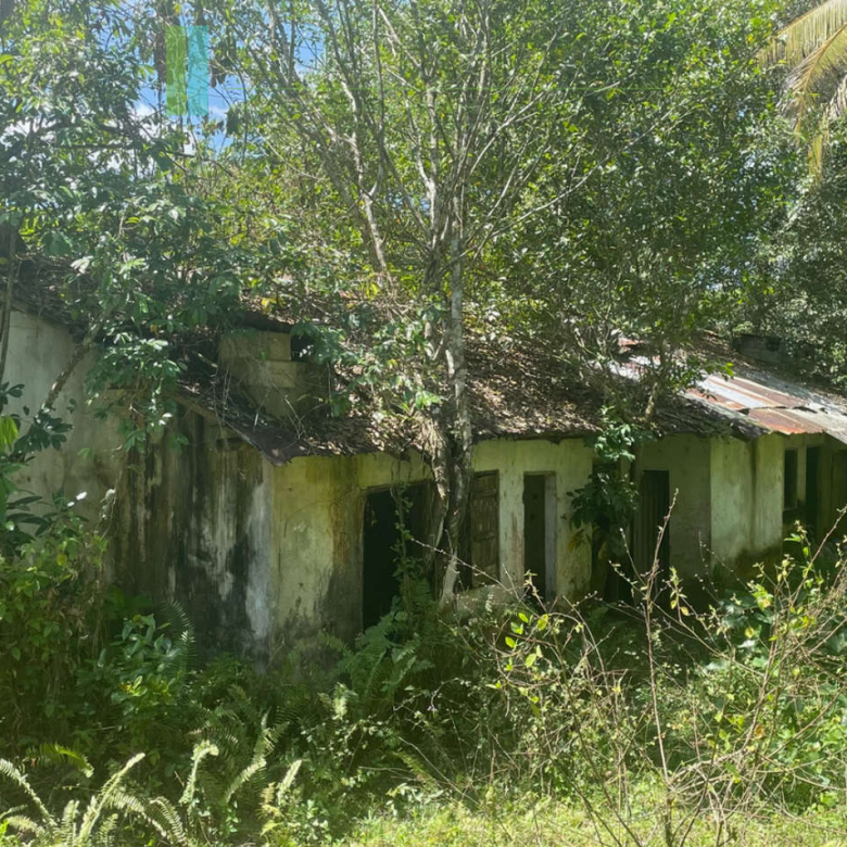Large plot with old three houses in Dikkumbura