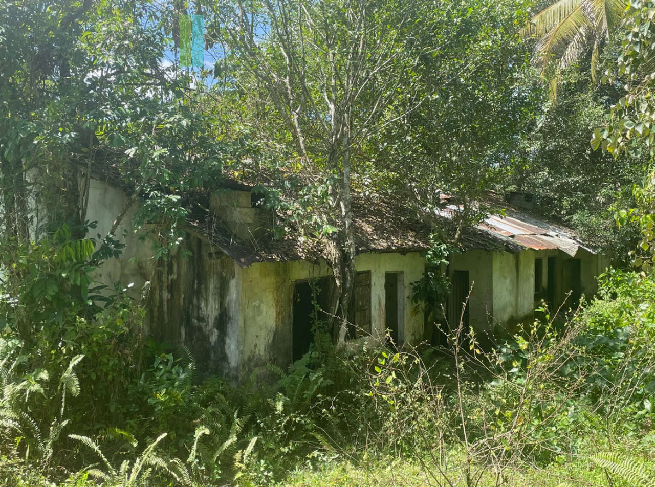 Large plot with old three houses in Dikkumbura