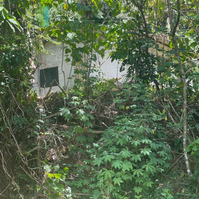 Large plot with old three houses in Dikkumbura