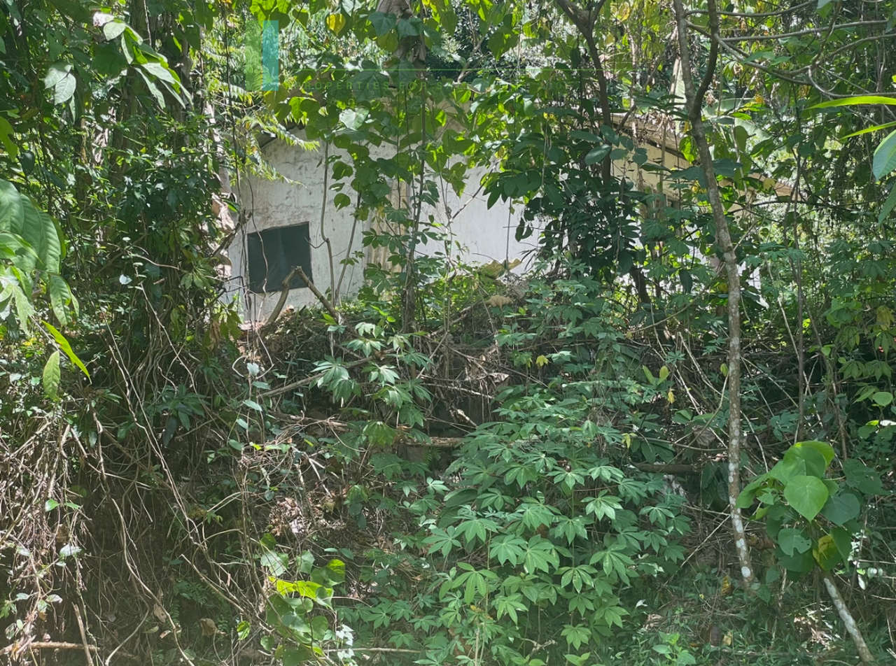 Large plot with old three houses in Dikkumbura